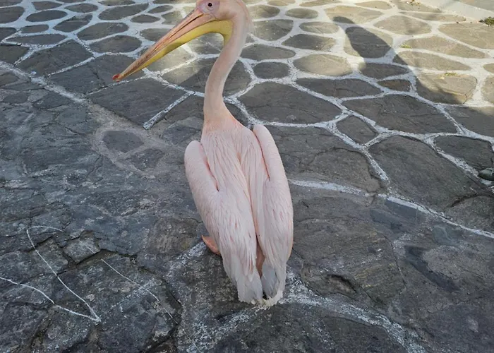 Modern Mykonos * Mykonos Town